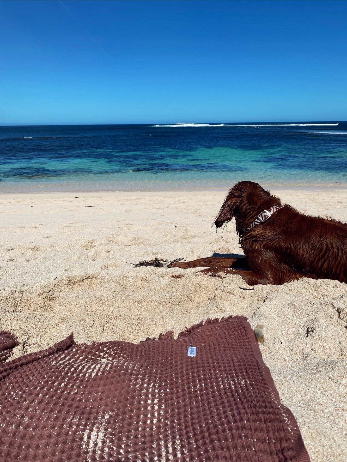 Lucky beach towels - Chocolate